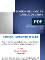 Division Del Hato de Ganado de Carne