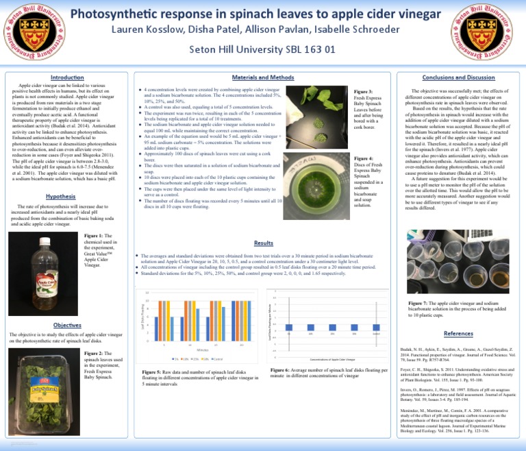 Photosynthesis Poster 1 PDF Vinegar Sodium Bicarbonate