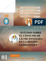 Estudio Sobre El Consumo de Leche Envasada en La Región Lambayeque