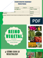 Reino Vegetal