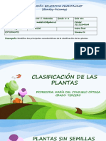 2. CLASIFICACION DE LAS PLANTAS