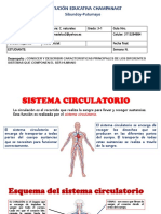 2.sistema Circulatorio