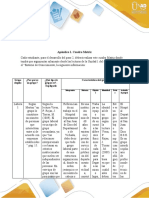 xdocs.pl_paso-2-apendice-1-cuadro-matriz