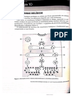 Membranas biológicas