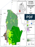 Balingayan Exposure Flood Map