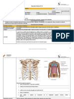 Guía de Práctica #11 Tórax y Abdomen
