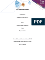 Fase 4 - Dimensión Profesional