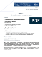 Indicaciones P2 QGI.pdf