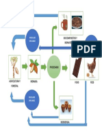 BIOECONOMIA CIRCULAR