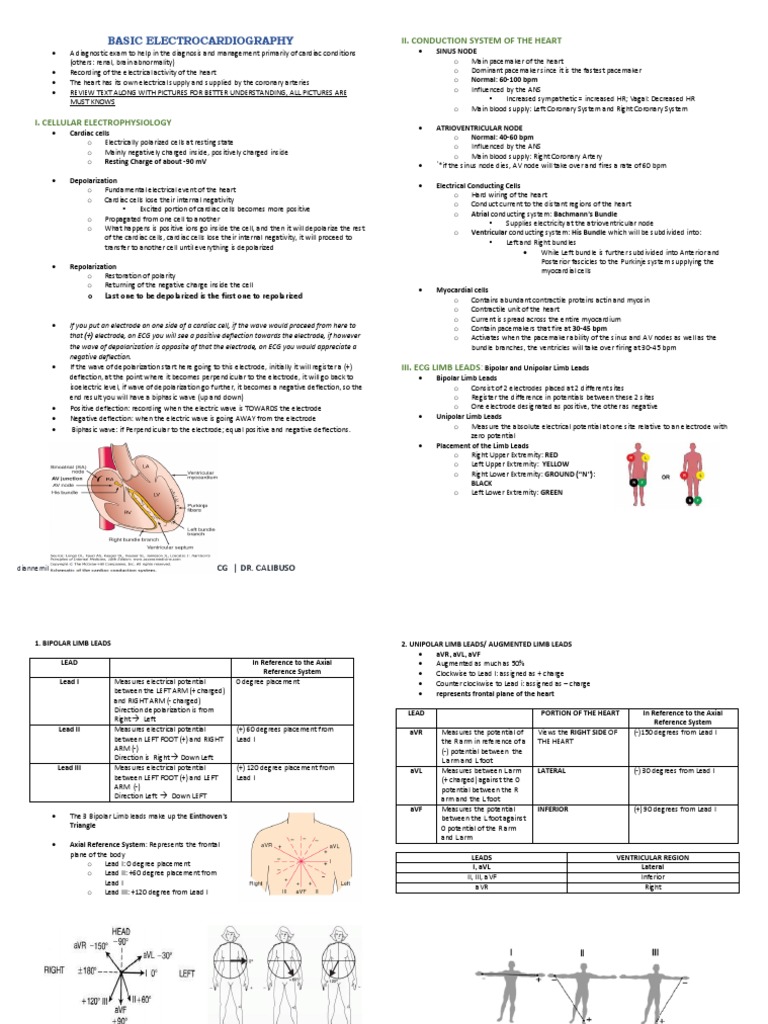 Basic ECG Fundamentals and Interpretation | PDF | Electrocardiography ...