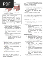 Imperforate Anus: Preoperative Care