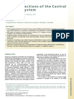 Neuroimaging Clinics Critococo PDF