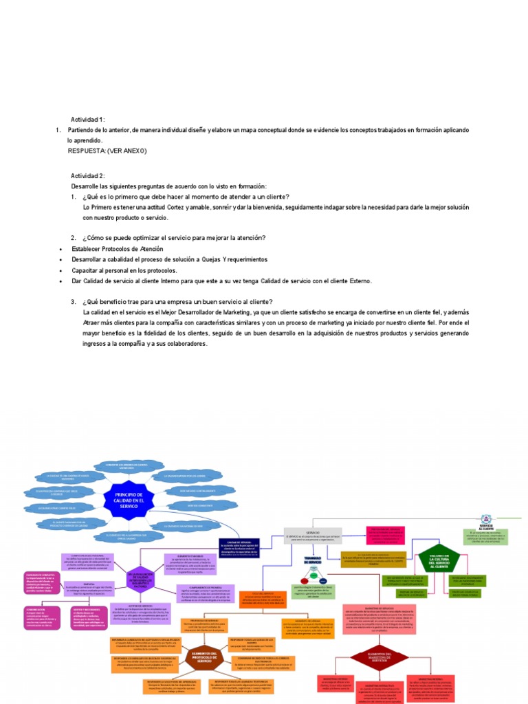 Mapa Conceptual de Atención al Cliente | PDF