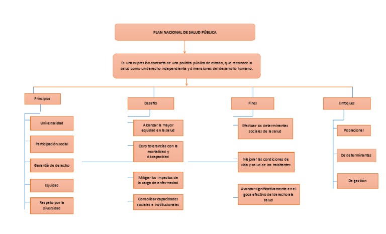 Mapa Conceptual Salud Publica | PDF