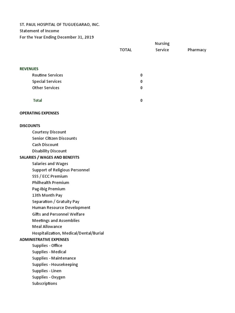 St. Paul Hospital Income Statement 2019 | PDF