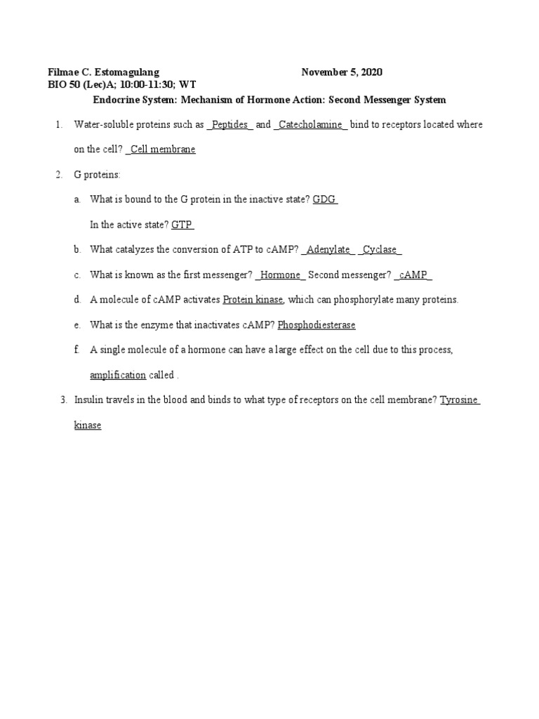 Ip Worksheet 2 Endocrine System Mechanism Of Hormone Action Second Messenger System