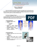 A Máquina Humana PDF