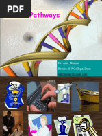Download Careerpathways by dinesh_parashar2 SN48324466 doc pdf