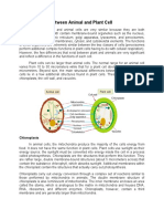 The Difference Between Animal and Plant Cell: Chloroplasts