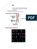 Chromosomes: Structure of A Chromosome
