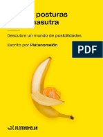 Guia Kamasutra Ilustrada para No Aburrirse Cama Hetero New PDF