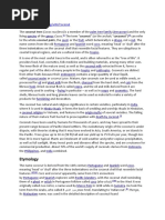 Overview of the Agoho Tree in the Philippines | PDF | Botany | Branches ...