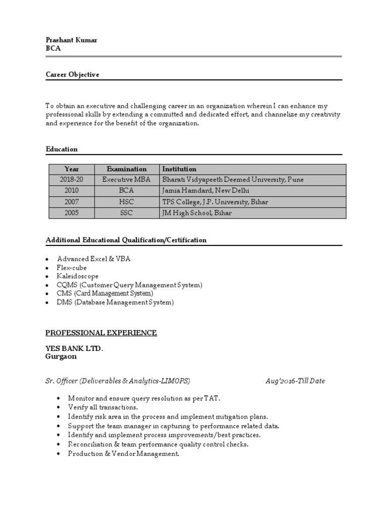 Prashant Kumar's Professional Resume | PDF | Business | Computing