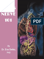 Eva-Detko - Vagus-Nerve-101 2