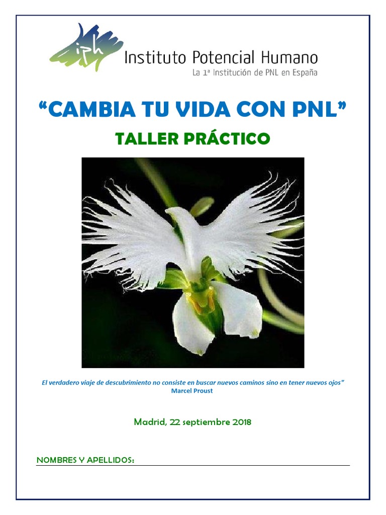Cambia Tu Vida Con PNL 22 Sept PDF | PDF | Programación ...