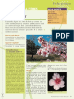 Plantes Melliferes PDF