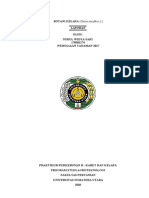 Laporan Botani Kelapa Nurul Widya Sari - 170301274