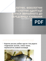 Морфологічні, фізіологічні та етологічні адаптації карася звичайного