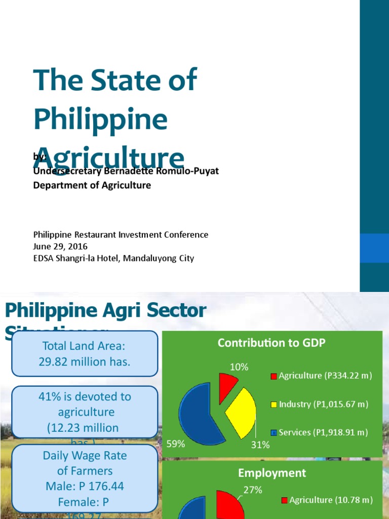 Philippine Agriculture Sector Overview | PDF | Agriculture | Food And Drink