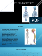 Alteraciones Del Esqueleto Axial