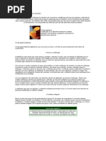 Como o seu corpo utiliza o alimento