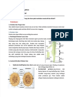 PDF Anatomi Akar Daun Batang DL