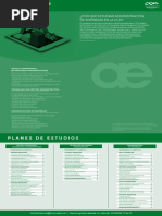 Administración de Empresas Virtual