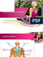 Musculatura Spatelui PDF