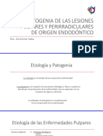 Etiopatogenia lesiones pulpares perirradiculares