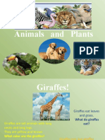 Animals-Plants Info