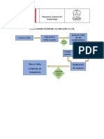 Flujograma RX PDF