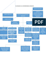 Mapa Conceptual Estructuras Organicas