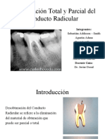 Desobturación Total y Parcial Del Conducto Radicular: Integrantes
