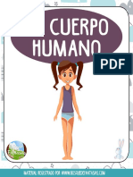 Fichas Del Cuerpo Humano