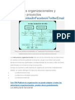 Estructuras Organizacionales y Gestión de Proyectos