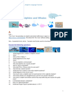 Dolphins and Whales PDF For Students 1 1