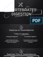 Invertebrates Digestion B2 PDF