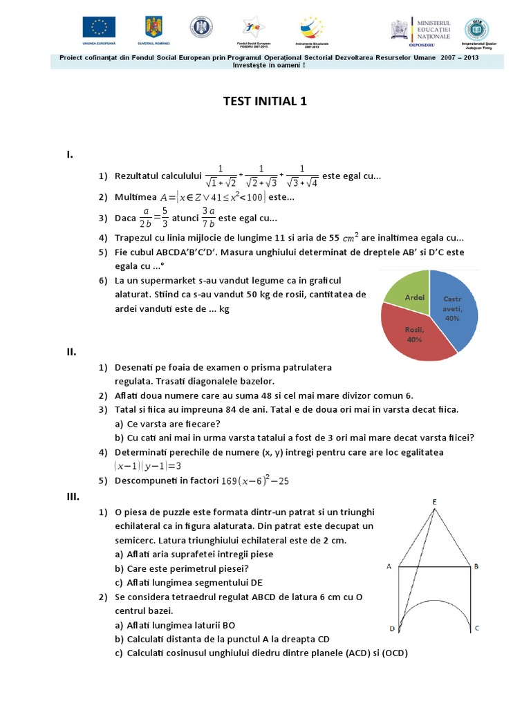 Testare Initiala | PDF