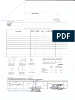 Formato Validado PDF