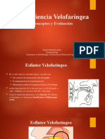 05 Insuficiencia Velofaríngea